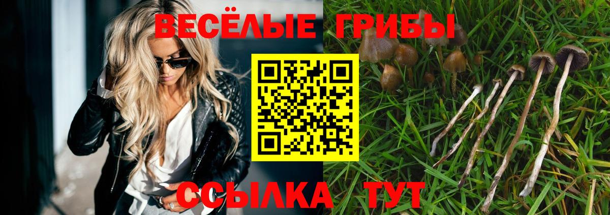 Галлюциногенные грибы мухоморы Печора