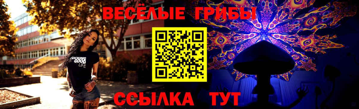 дарнет шоп  Вход с VPN  Галлюциногенные грибы ЛСД  Печора  Псилоцибиновые грибы ЛСД 